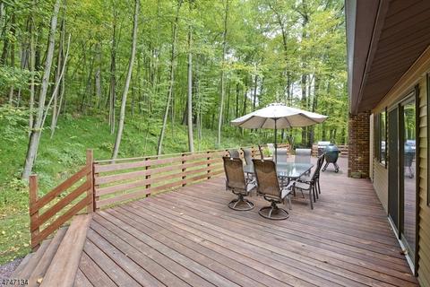 318 Hackett Rd, Hampton, NJ 08827 photo 4