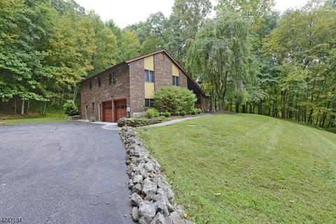318 Hackett Rd, Hampton, NJ 08827 photo 5