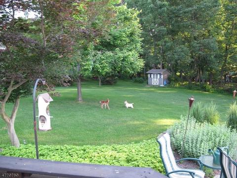 10 Rustic Trl, Flemington, NJ 08822 photo 25
