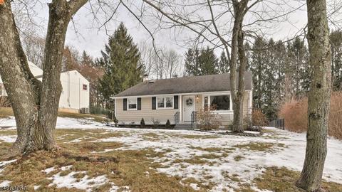 8 Corwin St, Randolph, NJ 07869 photo 23