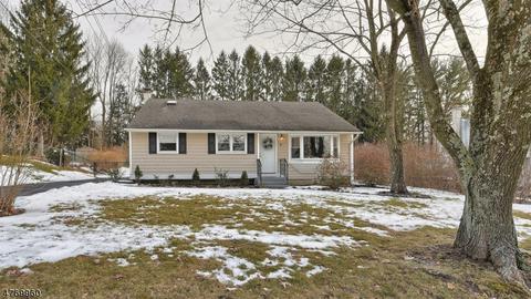 8 Corwin St, Randolph, NJ 07869 photo 24