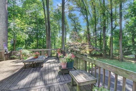 30 Windsor Rd, Summit, NJ 07901 photo 18