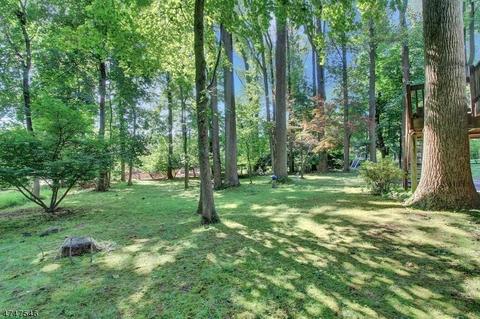 30 Windsor Rd, Summit, NJ 07901 photo 19