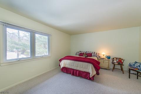 85 Magnolia Pl, Wayne, NJ 07470 photo 16