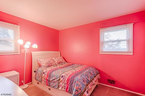 528 Herrick Dr, Dover, NJ 07801 photo 17
