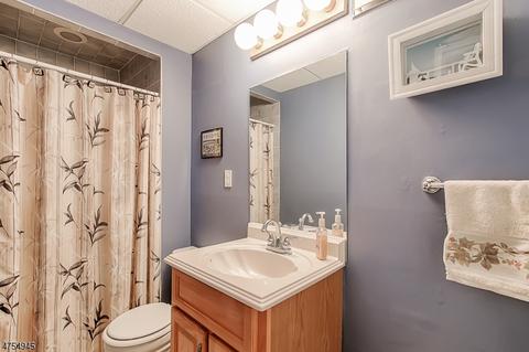 528 Herrick Dr, Dover, NJ 07801 photo 19