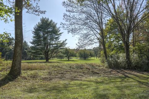 9 Corey Ln, Mendham, NJ 07945 photo 2