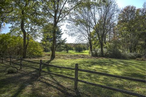9 Corey Ln, Mendham, NJ 07945 photo 21