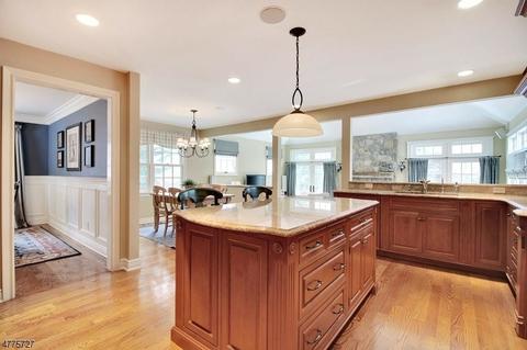 39 Rotary Dr, Summit, NJ 07901 photo 7