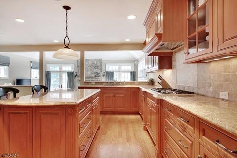 39 Rotary Dr, Summit, NJ 07901 photo 6