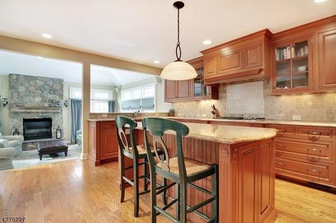 39 Rotary Dr, Summit, NJ 07901 photo 5