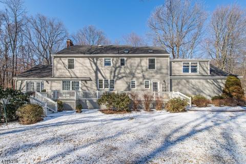 3 Glenbrook Dr, Mendham, NJ 07945 photo 25