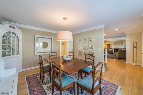3 Glenbrook Dr, Mendham, NJ 07945 photo 9