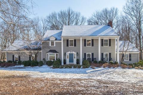 3 Glenbrook Dr, Mendham, NJ 07945 photo 1