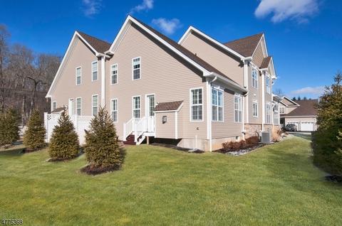 3 Raspberry Ln, Long Valley, NJ 07853 photo 21