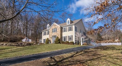 3 Connet Ln, Mendham, NJ 07945 photo 1