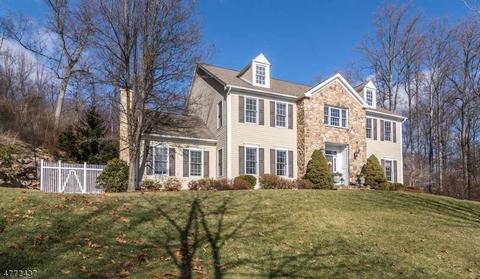 3 Connet Ln, Mendham, NJ 07945 photo 2