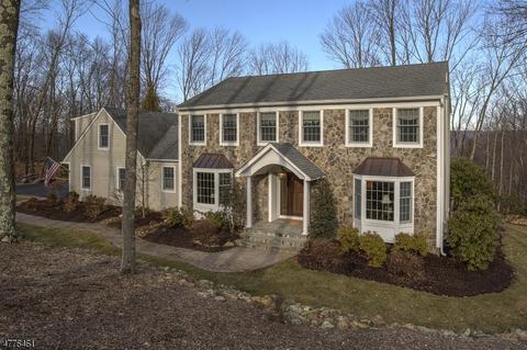 15 Waldon Rd, Califon, NJ 07830 photo 1