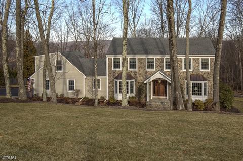 15 Waldon Rd, Califon, NJ 07830 photo 25
