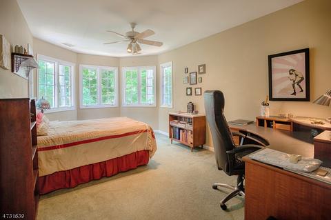 4 Millstone Rd, Mendham, NJ 07945 photo 18