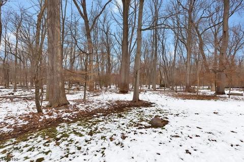 340 Timber Dr, Berkeley Heights, NJ 07922 photo 21