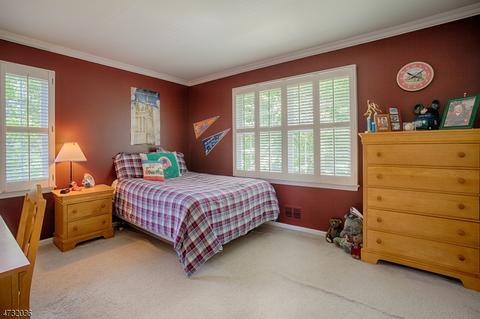 8 Devonshire Ln, Mendham, NJ 07945 photo 18