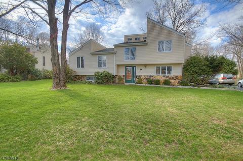 3 Walnut St, Randolph, NJ 07869 photo 1