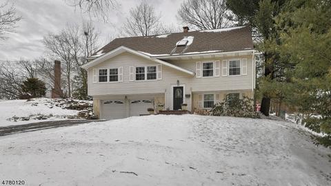 19 Brandon Ave, Wayne, NJ 07470 photo 25