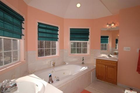 5 Michael Dr, Hackettstown, NJ 07840 photo 19