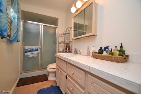 94 Highview Ter, Dover, NJ 07801 photo 14