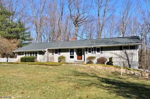 19 Colonial Rd, Brookside, NJ 07926 photo 24