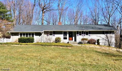 19 Colonial Rd, Brookside, NJ 07926 photo 1