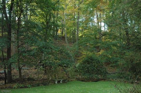 732 Springfield Ave, Summit, NJ 07901 photo 19