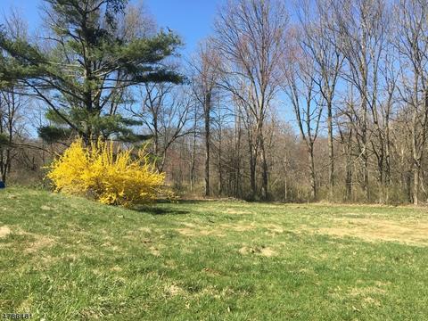 17 Lowery Ln, Mendham, NJ 07945 photo 18