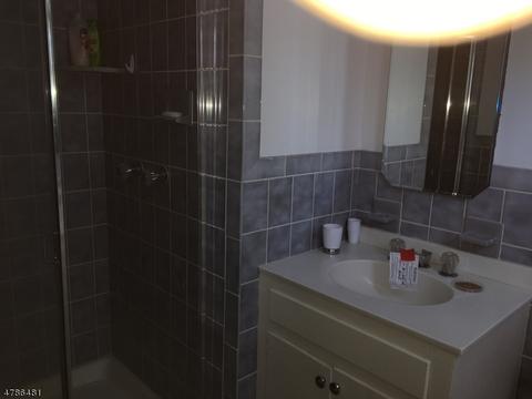 17 Lowery Ln, Mendham, NJ 07945 photo 12