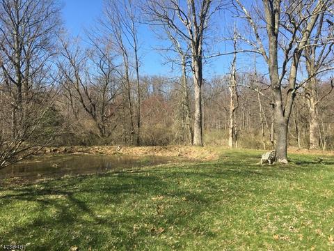 17 Lowery Ln, Mendham, NJ 07945 photo 19