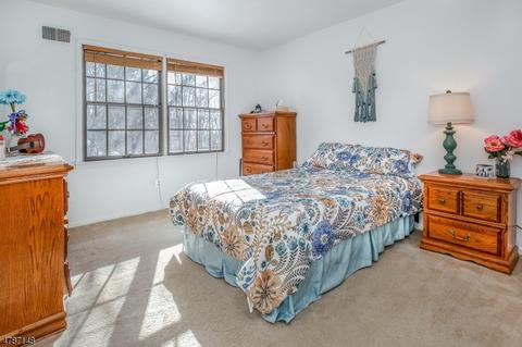 1 Peter Dr, Hackettstown, NJ 07840 photo 21