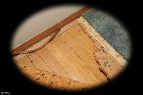 90 Kiwanis Dr, Wayne, NJ 07470 photo 20