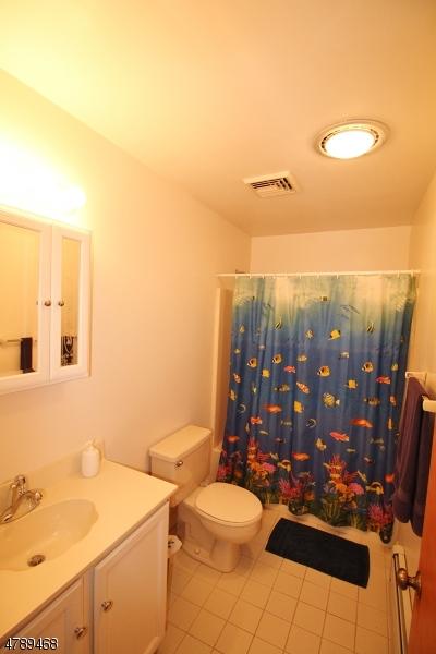 16 Limonite Rd, Hackettstown, NJ 07840 photo 13