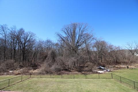 16 Limonite Rd, Hackettstown, NJ 07840 photo 16