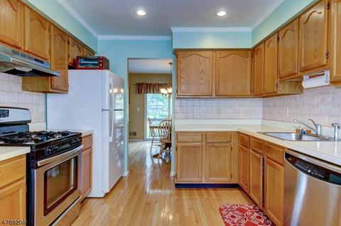 5 Apache Way, Branchburg, NJ 08876 photo 11