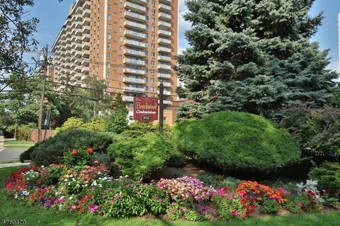 100 Prospect Ave #4M, Hackensack, NJ 07601 photo 23