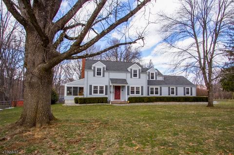 30 Deerfield Rd, Mendham, NJ 07945 photo 23