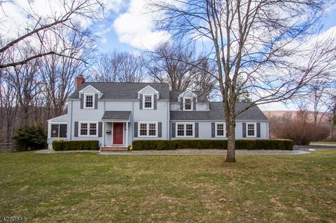 30 Deerfield Rd, Mendham, NJ 07945 photo 22