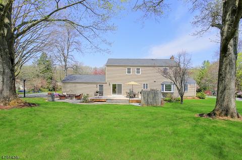 25 Deerfield Rd, Mendham, NJ 07945 photo 4