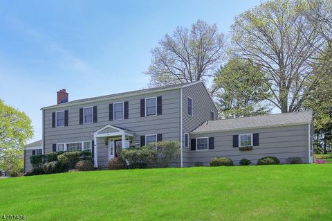 25 Deerfield Rd, Mendham, NJ 07945 photo 1