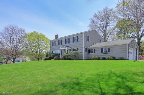 25 Deerfield Rd, Mendham, NJ 07945 photo 5