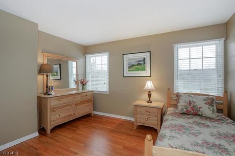 25 Deerfield Rd, Mendham, NJ 07945 photo 23