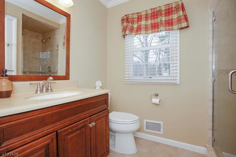 25 Deerfield Rd, Mendham, NJ 07945 photo 19
