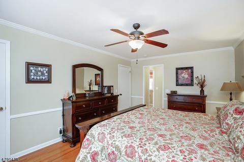 25 Deerfield Rd, Mendham, NJ 07945 photo 18